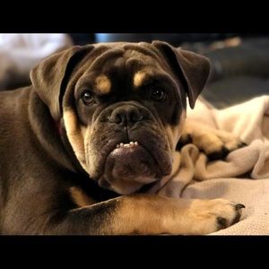 Meet your Posher, Holly